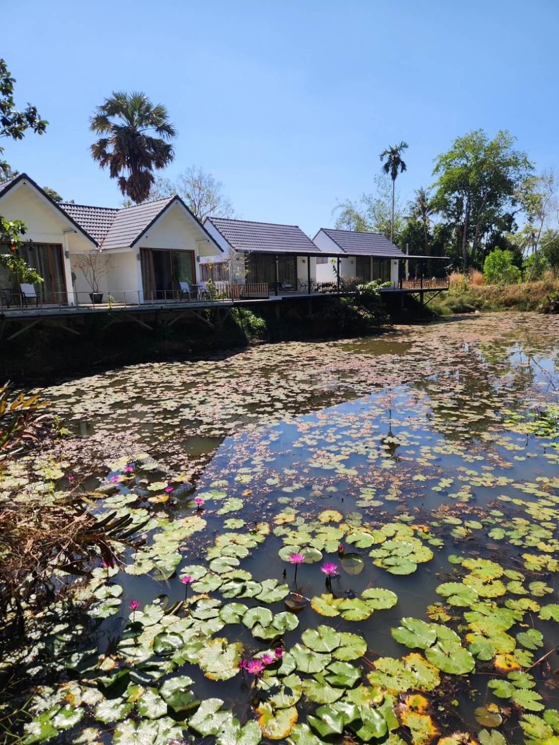 The Duck Cafe And Resort Trat Extérieur photo